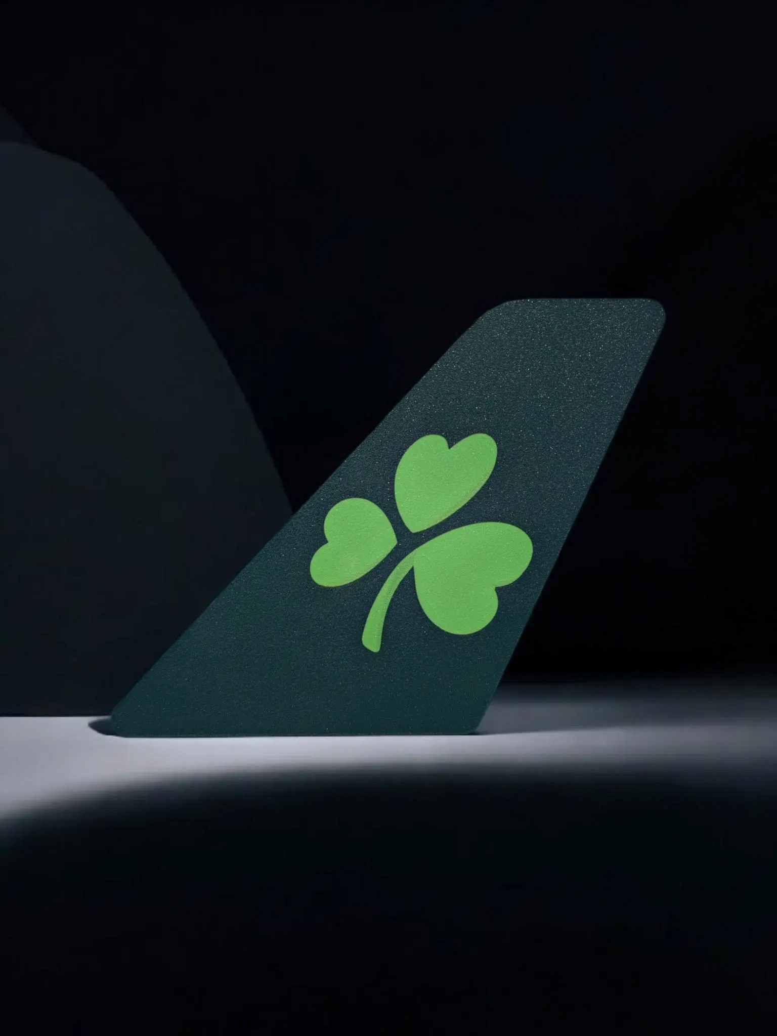 Aer Lingus Tail Fin