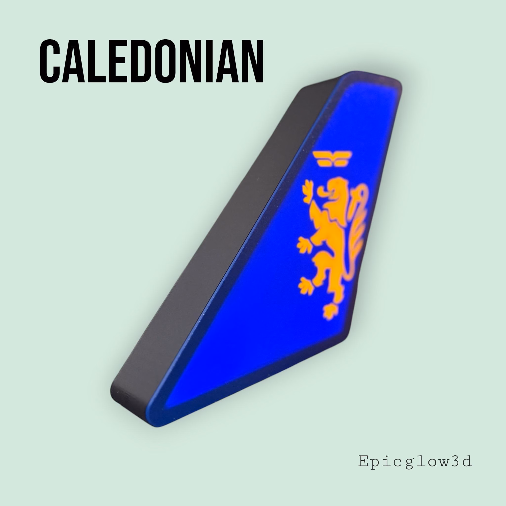British Caledonian Tail Fin