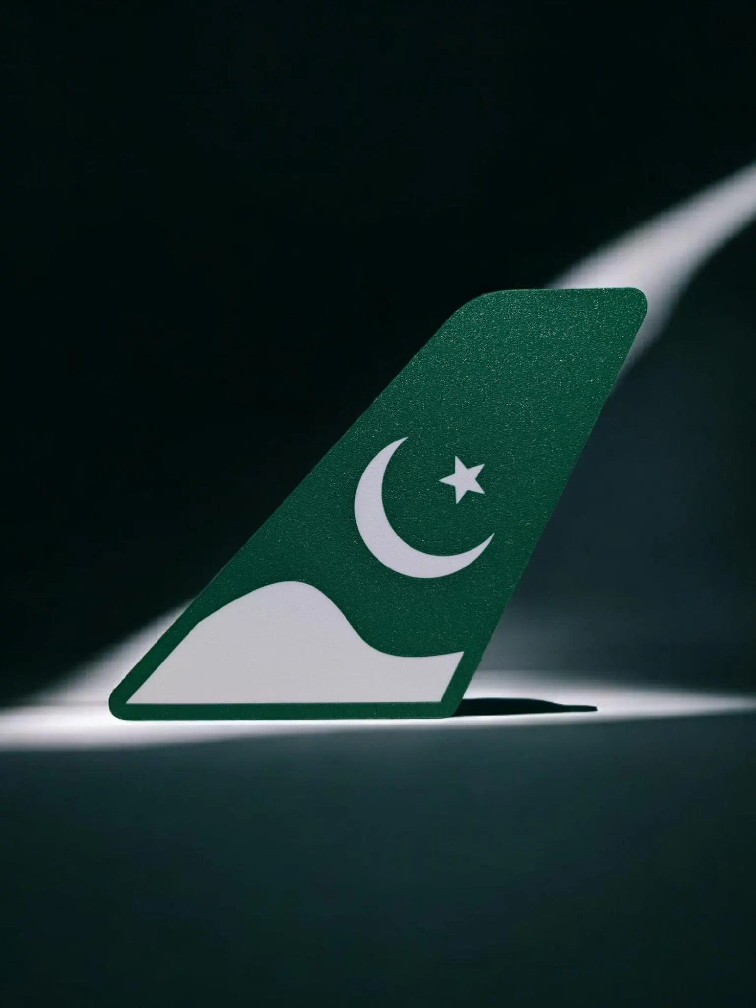 Pakistan International Airlines (PIA) Tail Fin