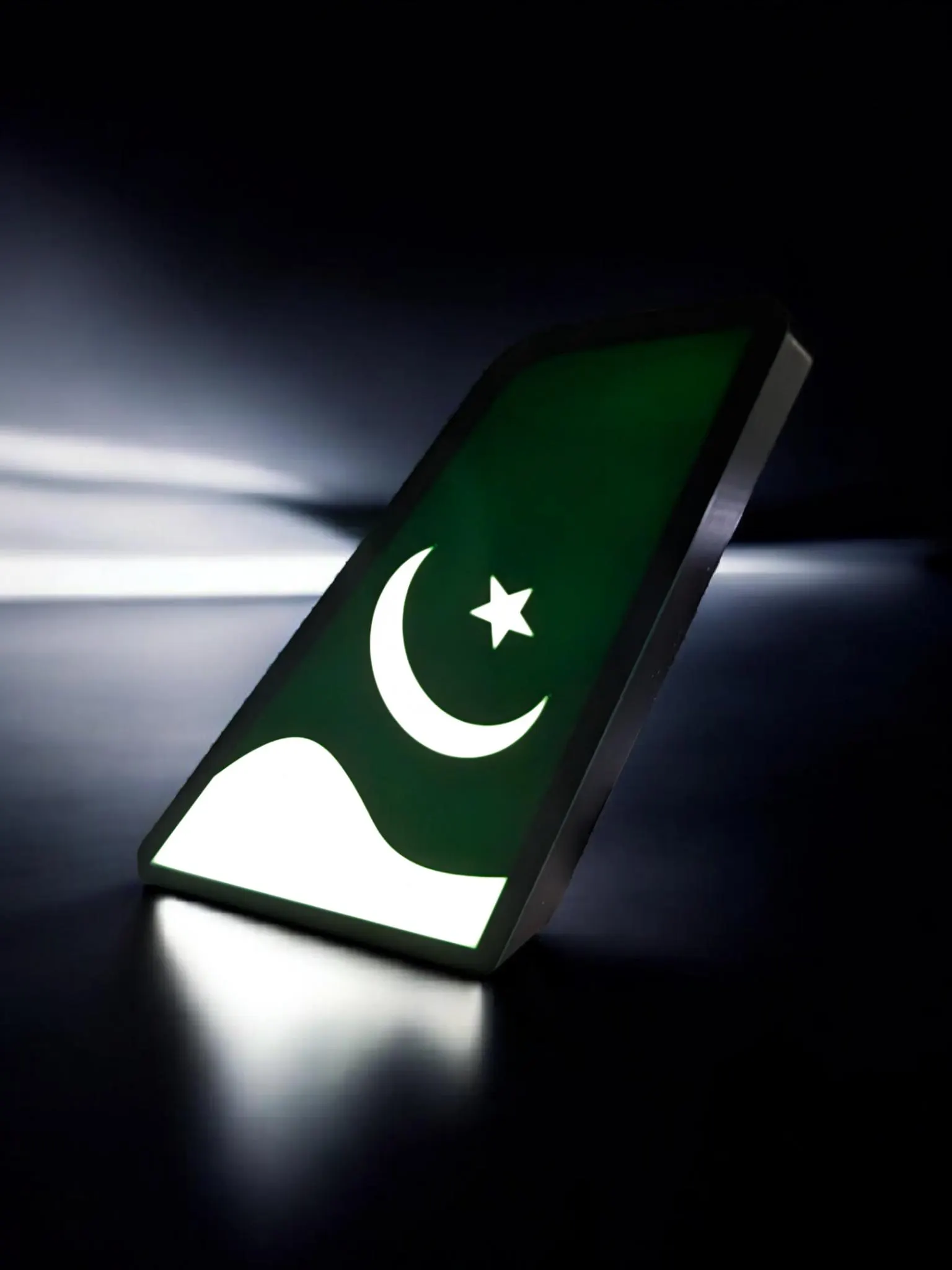 Pakistan International Airlines (PIA) Tail Fin