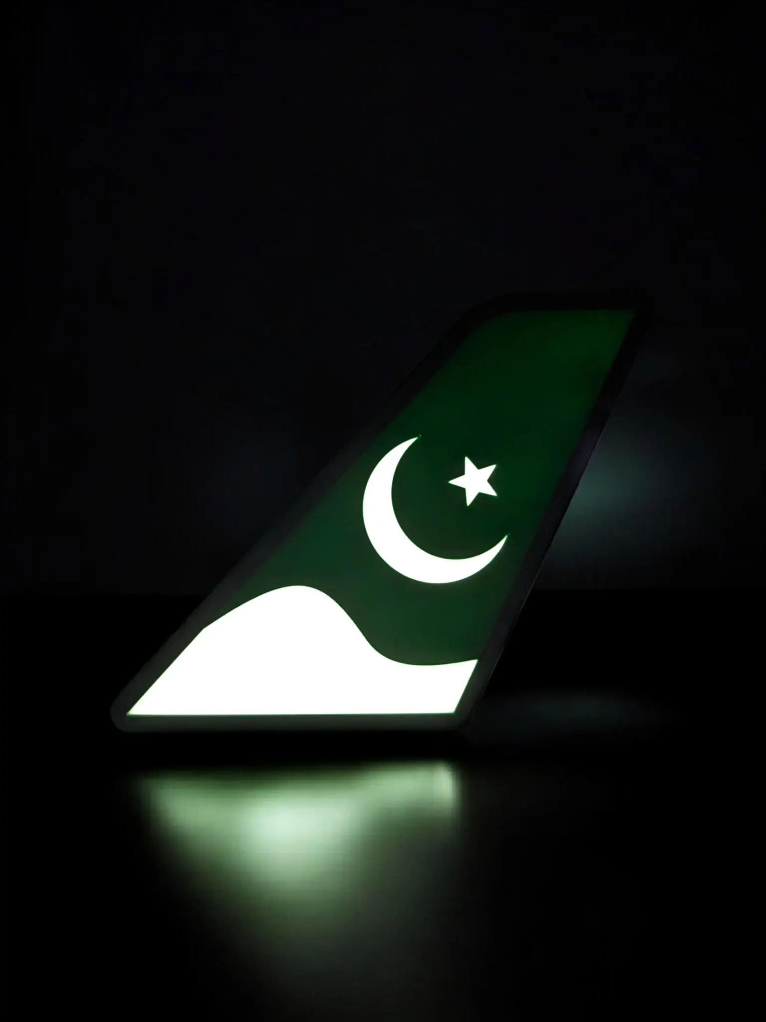 Pakistan International Airlines (PIA) Tail Fin