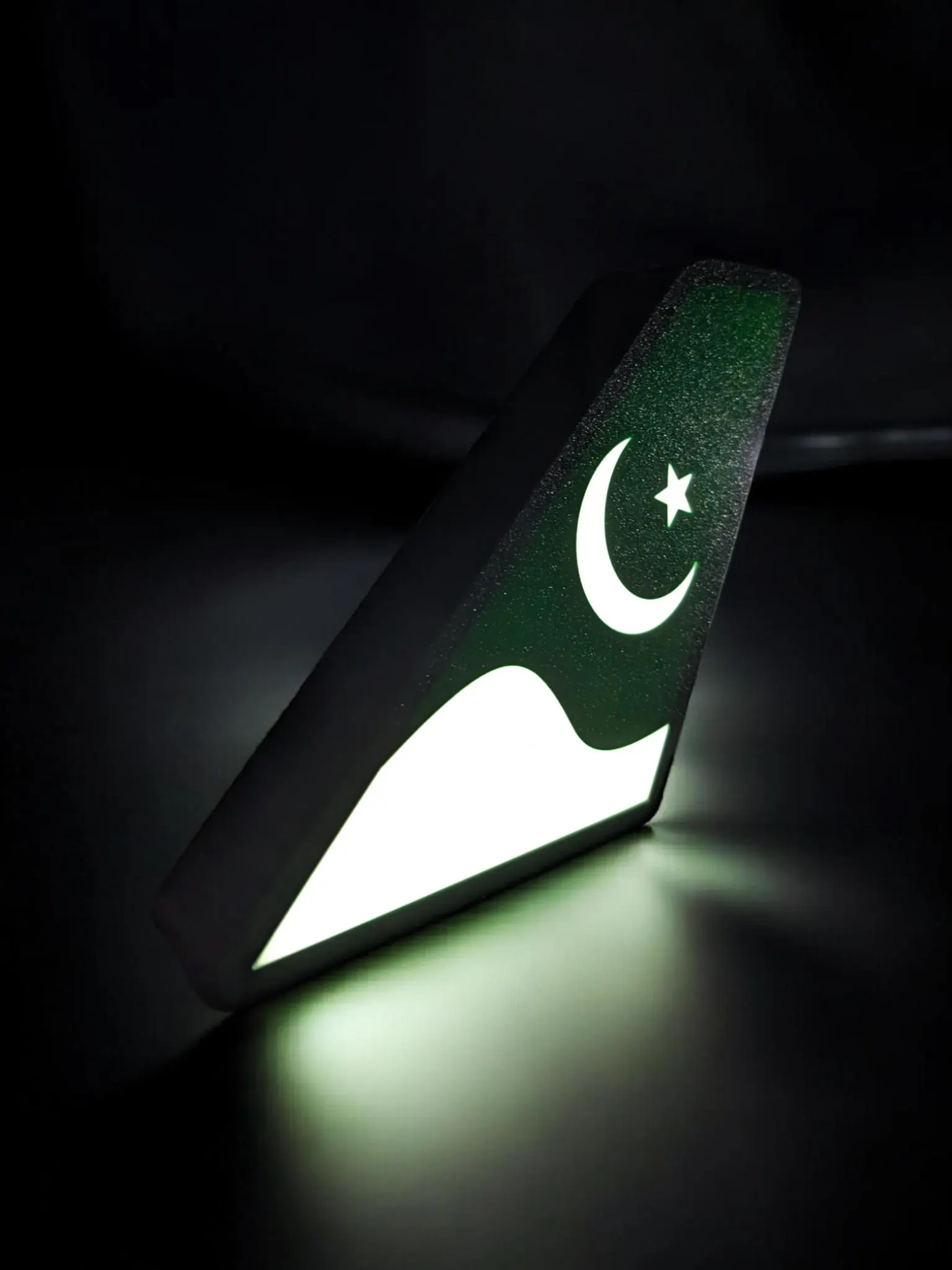 Pakistan International Airlines (PIA) Tail Fin