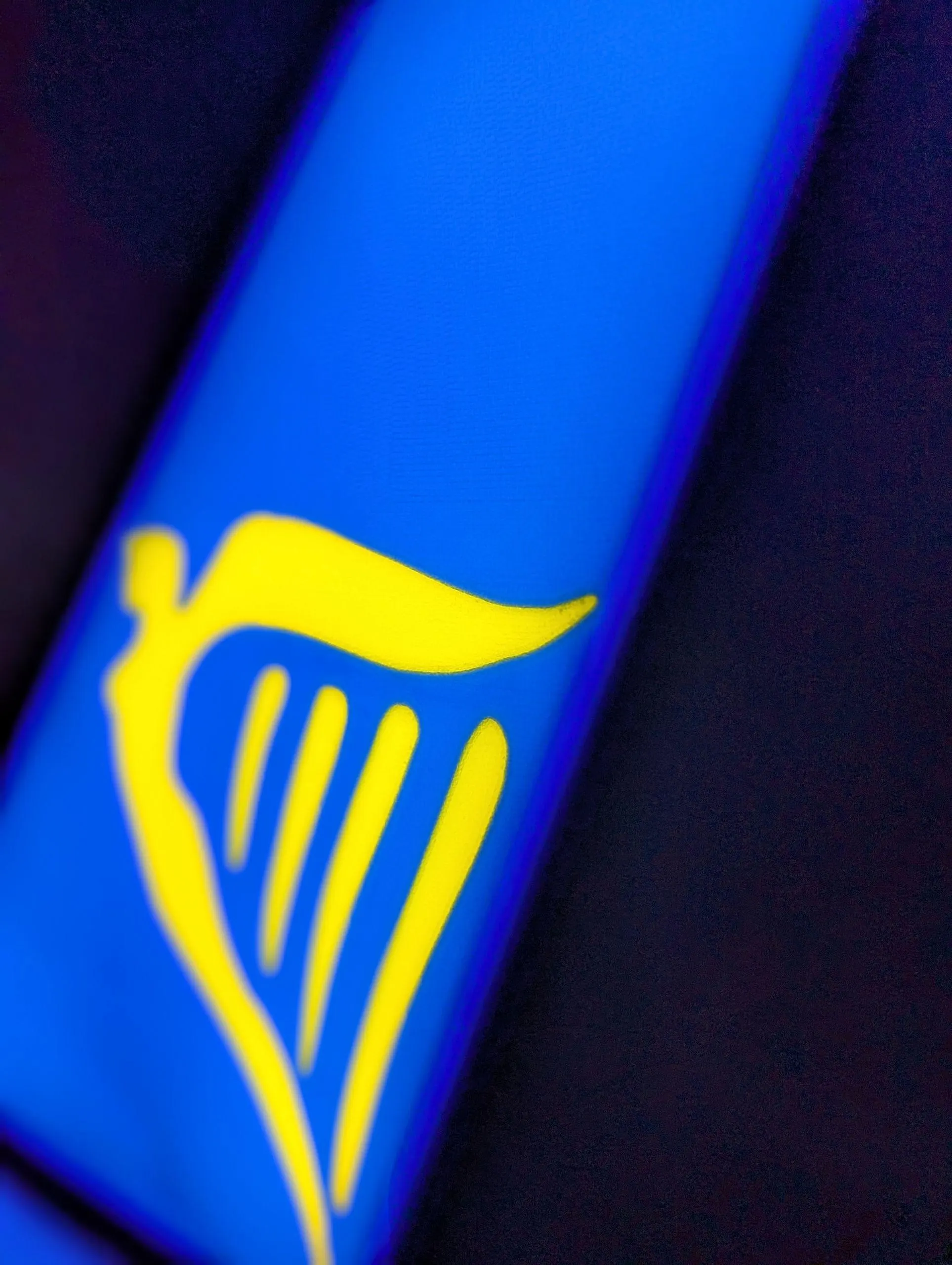 Ryanair Tail Fin
