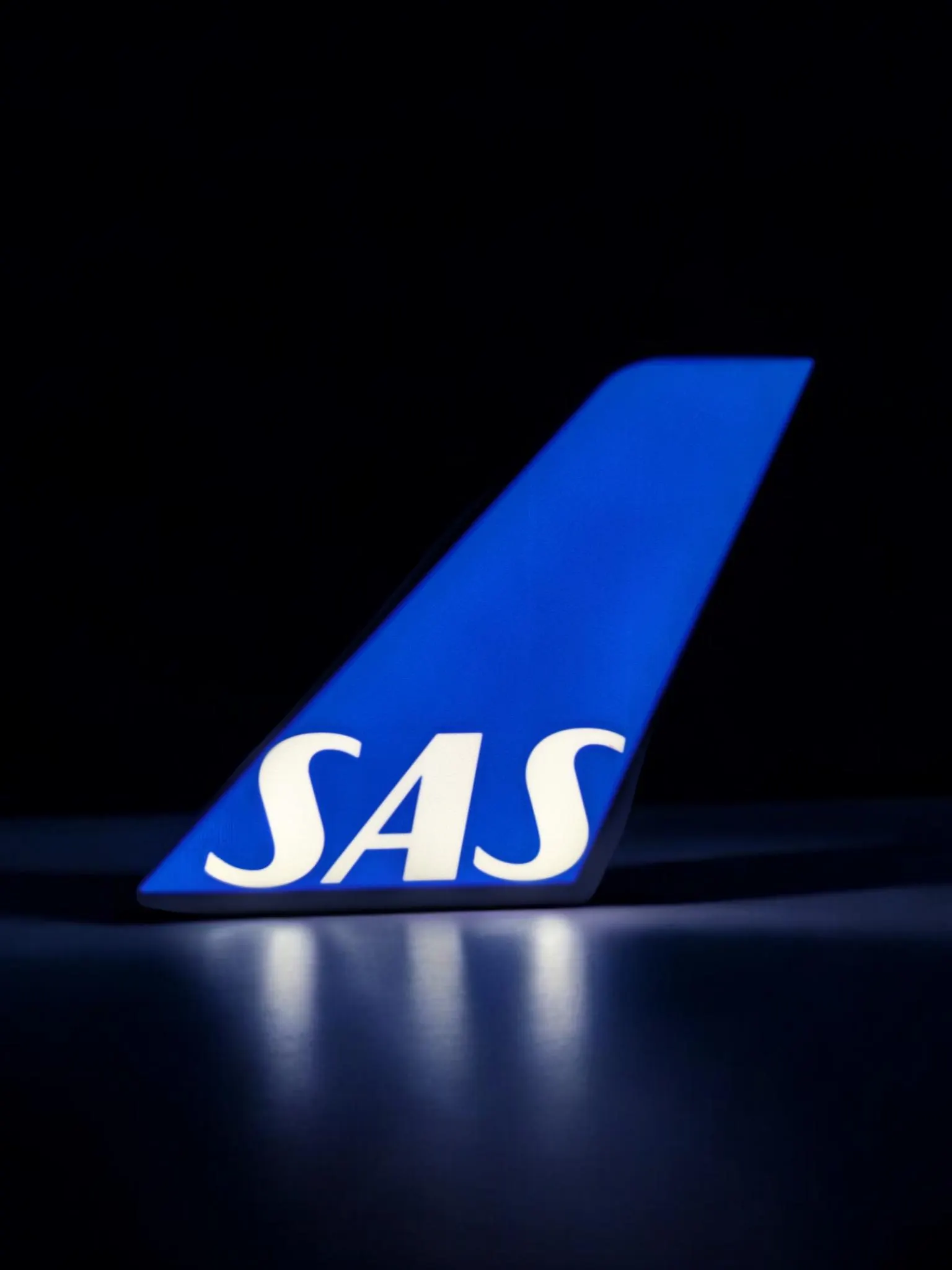 SAS Scandinavian Airlines Tail Fin