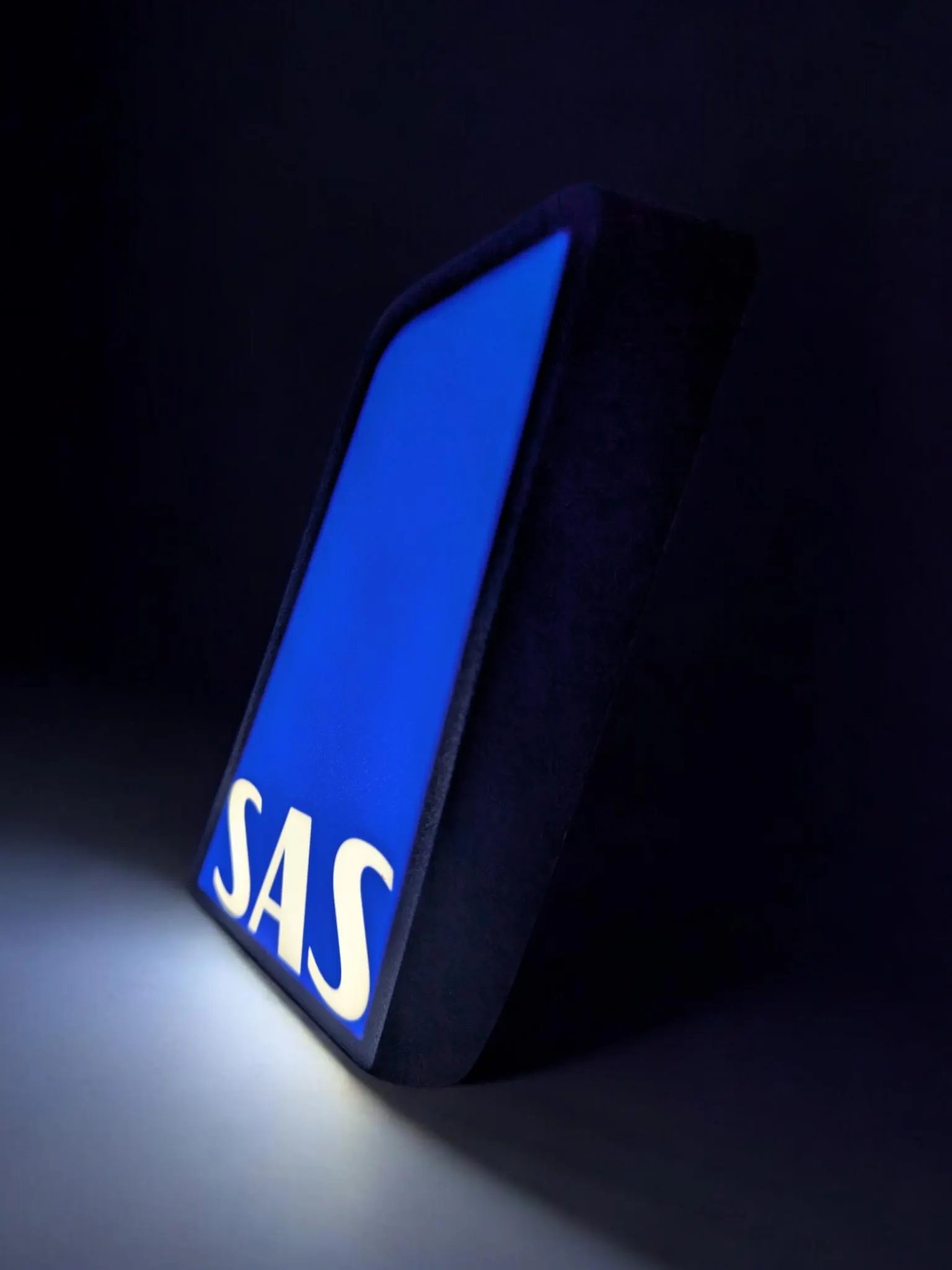 SAS Scandinavian Airlines Tail Fin
